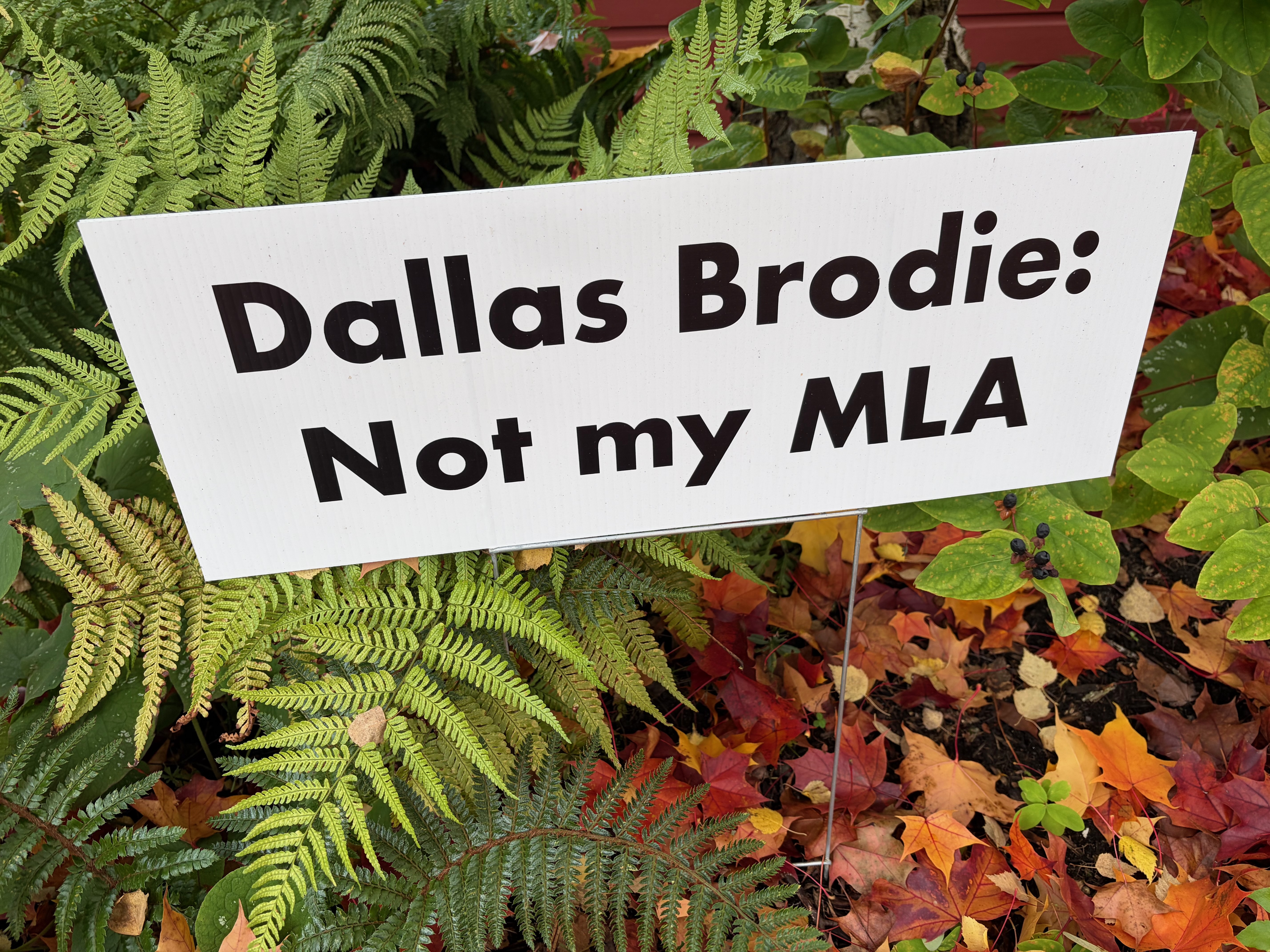 Cold November rain in the B.C. legislature puts First Nations’ rights into question