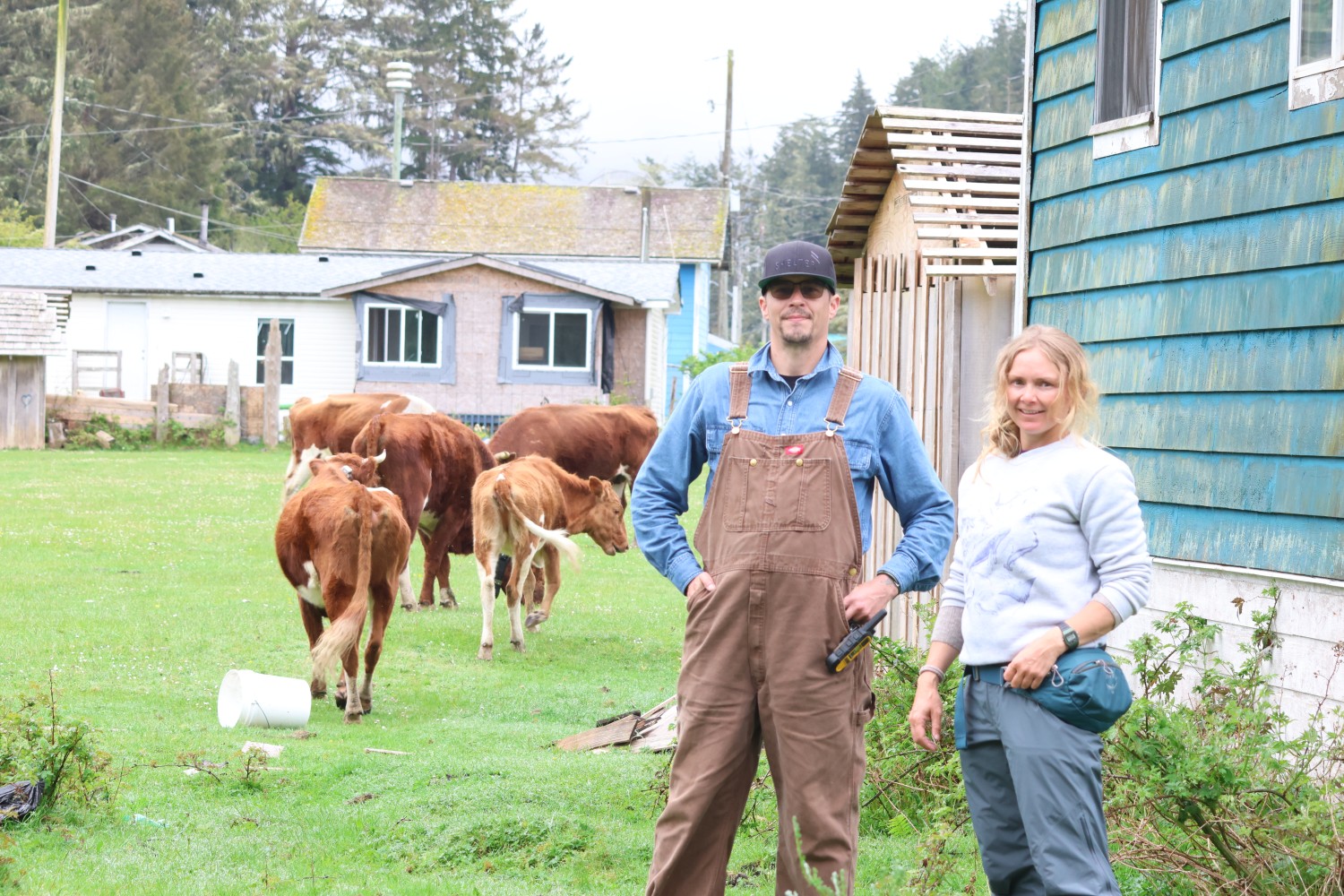 Tla-o-qui-aht wild cow technicians Clay Weisschadel and Robyn Perritt support the study with data collection and daily observations. 