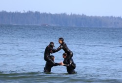 mułaa surf sessions also tend to include rounds of chicken fights.