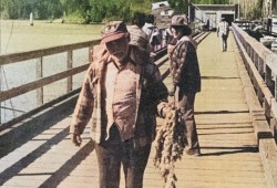 James Adams of Ahousaht goes home with one of his favorite lunches, kwuk-mis, or herring eggs. Originally published April 7, 1981. (Colourized Ha-Shilth-Sa archive photo)