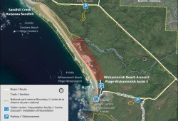 Parks Canada officials said the Wickaninnish Beach ban was necessary because there has been an increase of interactions with wolves and humans, especially those who are with dogs.