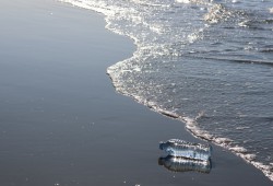 Since 2019, Surfrider volunteers have collected and recycled more than 4000 plastic bottles.