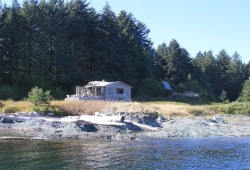 Thousands once lived on Aktis Island, where 24 longhouses were destroyed in the 1930s.