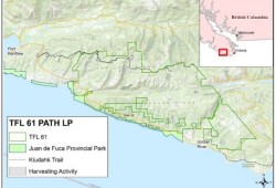 TFL 61 runs along San Juan Ridge (B.C. Forest Practices Board).