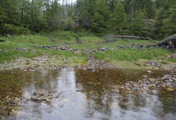 A fish trap is still visible in Three Bay Cove, in Tlupana Inlet north of Yuquot.