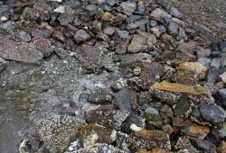 The remains of a fish trap on Bligh Island, within Beer Can Bay.