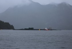 Fish farms are located throughout Nuu-chah-nulth territory on the west coast of Vancouver Island. Pictured are net pens in Nootka Sound, where Grieg Seafood is an operator. (Eric Plummer photos)