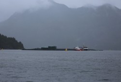 Fish farms are located throughout Nuu-chah-nulth territory on the west coast of Vancouver Island. Pictured is a salmon farm near Bligh Island in Nootka Sound. (Eric Plummer photo)