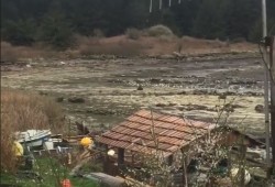In January 2022 snowdrift-like piles of k̓ʷaqmis appeared at Hesquiaht Harbour, part of the largest herring spawn Diance Ignace has seen in 30 years. (Video image supplied by Dianne Ignace)