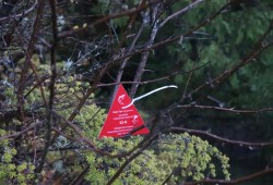 At the mouth of S-2, a sign indicates salmon counting stations throughout the stream. Parks Canada crew work in S-2 counting and scanning tagged fish in the stream.