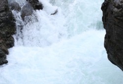 A lone salmon attempts in vain to jump up Stamp Falls. Fortunately a passable route is available at the falls via constructed tunnels that thousands of fish can swim through, otherwise known as the "fish ladder". 