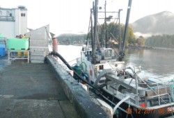 A fish processing plant in Tofino. (Ministry of Environment and Climate Change)