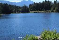 It was important for Sayers to incorporate a reference to Mount Arrowsmith in his work, saying that the mountain represents Hupačasath’s eastern boundary.