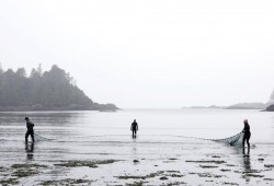 Ucluelet Aquarium staff carefully drag a seine net along the once floor in search of sea creatures for the aquarium as part of the Pacific Rim Whale Festival, on Terrace Beach, in Ucluelet, on March 21, 2022. (Melissa Renwick photo)