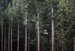 A tree-sitter, who goes by Pony, said she spent four days in a hanging structure to delay the logging of old-growth forest near the Caycuse blockade, on May 20, 2021. (Melissa Renwick photo)