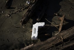 Styrofoam is entangled in the kelp and driftwood along the high tide line on the north end of Long Beach, near Tofino, on December 16, 2021. (Melissa Renwick photo)