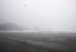 A wind storm swept rain across a deserted Chesterman Beach, in Tofino, on Jan. 5, 2021.