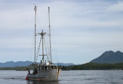 Maria Christina I, a T’aaq-wiihak troller boat, sails the waters off of Tofino.