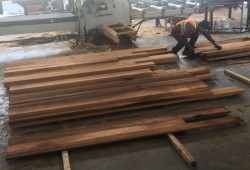 Pacheedaht Forestry’s Port Renfrew sawmill in operation (Pacheedaht First Nation).