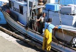 Paul Sam of Ahousaht speaks to a Lions Gate salmon buyer in Tofino while aboard the Maria Christina I, a T’aaq-wiihak troller, in August.