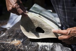 Joe Martin maps out where he will cut into the lower jaw bone of a grey whale.