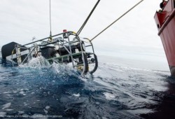 A submersible drop camera was used to observe seamount life, lowered from the Coast Guard vessel John P. Tully. 