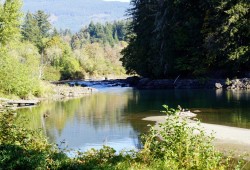 Like other streams in B.C., water in the Somass River, pictured at Paper Mill Dam Park in Port Alberni, is unseasonably warm in October. (Karly Blats photo)