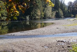 The Somass River, pictured at Hector Road, can almost be walked across at low tide in early October. (Karly Blats photo)