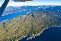 An aerial photograph shows forest covering southern Vancouver Island by Port Renfrew. (T.J. Watt photo)