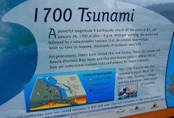 A sign by Anacla commemorates a tsunami disaster in 1700. Geology points to older tsunami sites along the west coast of Vancouver Island (Mike Youds photo)