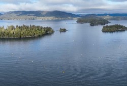 A Cascadia Seaweed farm in Barkley Sound, where the company grows kelp along lines suspended a few feet below the ocean's surface. (Cascadia Seaweed photo)
