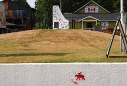 Following the killing of three habituated black bears to ensure public safety, someone spray painted red “angel bears” all around Ucluelet’s Peninsula Road. (Nora O’Malley photo)