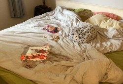 “I was calling it the reverse Goldilocks because he tested out the spare bedroom, the couch and my bed and chose my bed to eat the raspberries and bear meat,” said Halvorson. (Submitted photo)