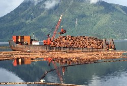 Raw logs are loaded onto a barge on Vancouver Island. (Cain Schutt photo)