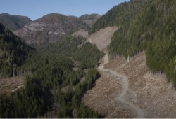 An aerial photograph shows a clearcut on northern Nootka Island. (Sierra Club of B.C. photo)