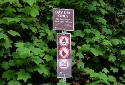 Overnight camping is prohibited at Kennedy Lake. (Nora O’Malley photo)