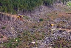 Machines work to establish a guard to control the perimeter of the Mount Underwood wildfire in August 2025. These images taken by the BC Wildfire Service have sparked questions about the volume of slash in the area of the blaze. (BC Wildfire Service photo)