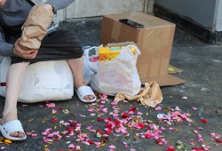Flower petals and food bring brightness to an otherwise dark alley