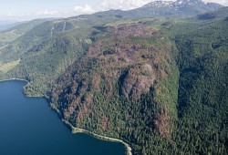 Now listed as “under control”, the Cameron Bluffs wildfire spread during early June to encompass 229 hectares. (BC Wildfire Service photo)