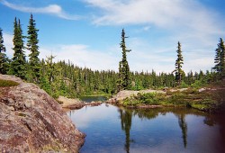   Forbidden Plateau in Strathcona Provincial Park. (Wikimedia Commons photo)      