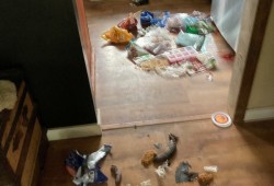 Halvorson says when he returned from his trip to Dawson Creek on July 22 his house smelt like a rotting animal and his freezer door was open. (Submitted photo) 