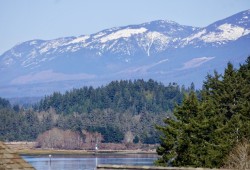 Low snowpack levels on Vancouver Island are causing concern for a drought year and could impact salmon spawning. (Karly Blats photo)