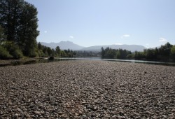 During summer droughts over the past decade water in Vancouver Island rivers have lowered to concerning levels for migrating salmon. Pictured is the Somass River in Port Alberni during the summer of 2021. (Eric Plummer photo)