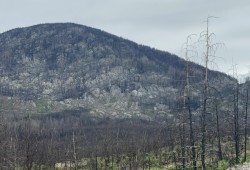 Seen from the road running south of Port Alberni to Bamfield, over 3,500 hectares burned during the Mount Underwood wildfire, an area nearly nine times the size of Stanley Park. (Jaydhie Arevalo photo)