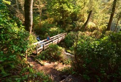 The Juan de Fuca Trail, one of B.C.’s most popular coastal hiking trails, receives thousands of visitors each year. The trail is in the territory of the Pacheedaht First Nation, which holds deep cultural significance for their community. 