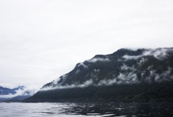 Tiičma Forestry LP is a small market logger based up in Ka:’yu:’k’t’h’/Che:k’tles7et’h’ First Nations (KCFN) territory (pictured) on Vancouver Island’s north coast. The company sells west coast old and second growth logs to a Terminal Forest Products sawmill on the mainland who exports primarily to the U.S. (Melissa Renwick photo)