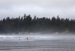 Surfers walk from the water after a surf on Long Beach, on Thursday, June 11, 2020. (Photograph by Melissa Renwick)