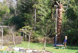 Visitors admire the Naa’was totem pole at the centre of Naa’Waya’Sum Gardens, which depicts responsibilities to future generations. 