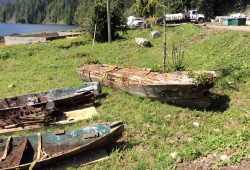 Dugout canoes sit in Ethlateese.