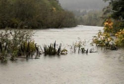 Heavy rain caused the Sarita River to break its banks on the morning of Oct. 18. (Kristen Young photo) 